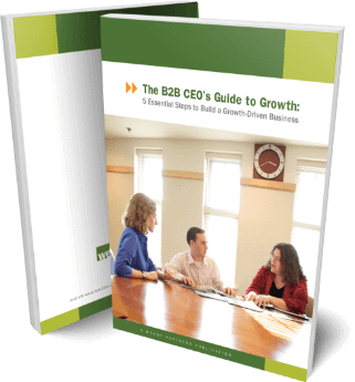 Two books in Wendt Partners colors with the title of The B2B CEO's Guide to Growth