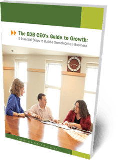 The B2B CEO's Guide to Growth book cover