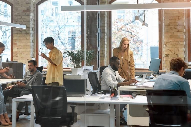 Team members working in the office and reviewing work