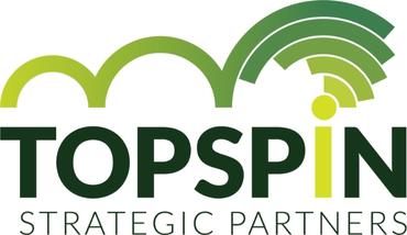 Topspin logo, small